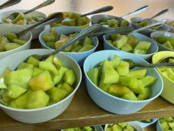 おやつ～メロン～