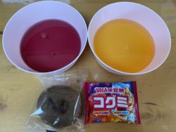 ゼリー・チョコドーナツ・コグミ