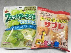本日のおやつ～フェットチーネグミ&たべっ子どうぶつサブレ～